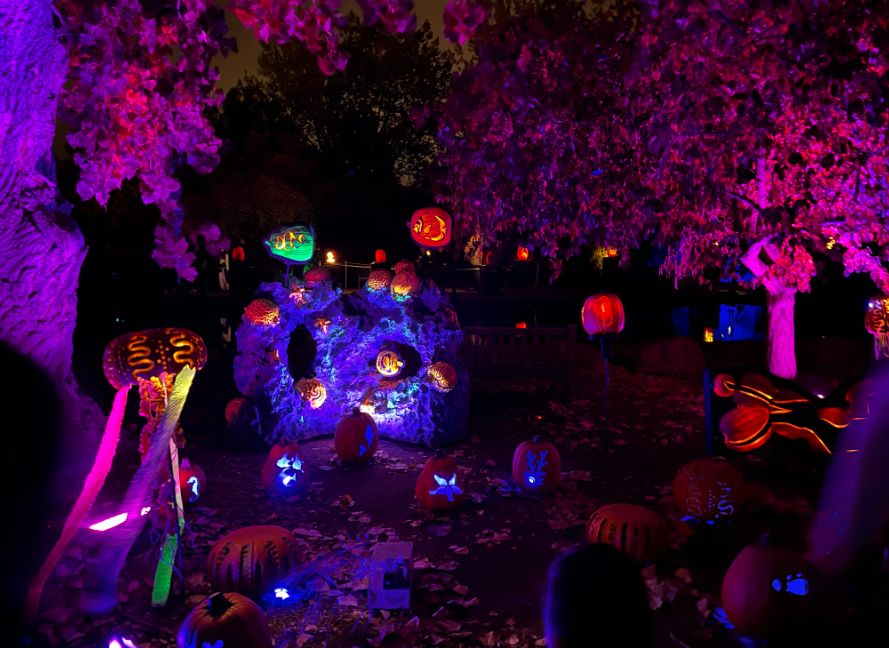 Hudson Gardens’ Magic of the Jack O’Lanterns event is a mustsee for